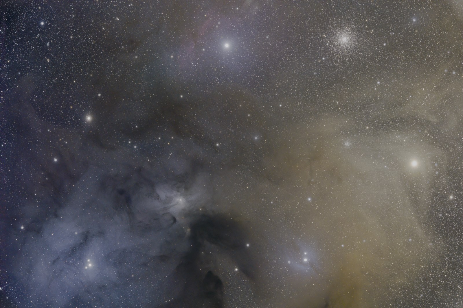 Rho Ophiuchi — original astrophotography by Jesse Krautwurst