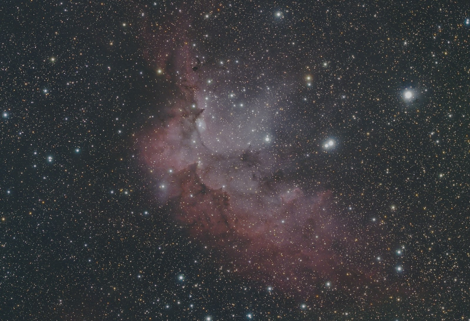 Wizard Nebula — original astrophotography by Jesse Krautwurst